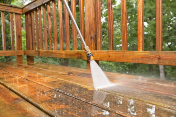 Best Oil Spill Cleanup  in Las Palmas Ii, TX